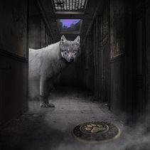 Mi Proyecto del curso: El renacer de Fenrir. Photo Retouching project by Franco González - 08.28.2018