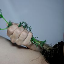 TFG: Fotografía conceptual- Tabúes de la mujer en la sociedad.. Een project van Fotografie van Lorena P.R - 20.09.2018