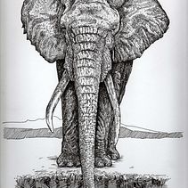 Ilustración con microfibra sobre papel obra 240gr. 23x30 cm. Ein Projekt aus dem Bereich Traditionelle Illustration von Benjamín Escalante - 30.10.2018