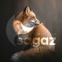 Marca personal: sagaz publicidad. Design de logotipo, e Publicidade projeto de santiago castillo gañan - 30.01.2019