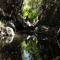 No dejemos RASTRO. Projekt z dziedziny Film użytkownika Cristian Sepulveda - 04.02.2019