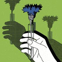 Duz transfer 1. Un proyecto de Ilustración tradicional e Ilustración digital de Ajo Galván - 03.01.2019