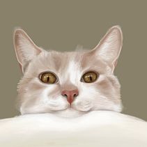 Serie "Diario Visual felino" . Ilustrație digitală de Solo Eva - 07.10.2019