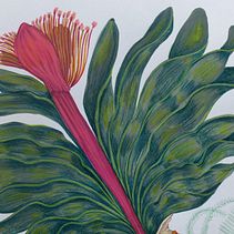 Pattern Design . % isabel picaza tarafından hazırlanan  projesi - 10.07.2019