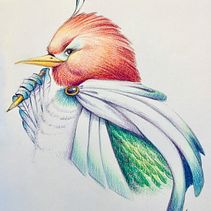 Animal Selfie. Un progetto di Illustrazione tradizionale di Amorisa Denzel - 19.10.2019