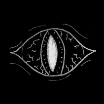 Black Eye Flipbook. Projekt z dziedziny  Animacja i Animacje 2D użytkownika Pedro Vázquez Santos - 02.10.2018