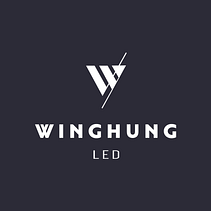 Winghung LED. Graphic Design, Br, ing, Identit, Logo Design, and Pattern Design project by Sonia Vidal Garcia - 01.30.2019