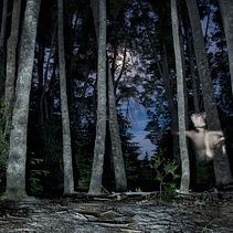 Depois de cair do céu. Fotografia, Fotografia artística, Fotografia de retrato, Fotografia digital, e Fotografia em exteriores projeto de Cristias Rosas Chocano - 27.01.2020