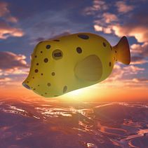 Yellowboxfish 3d  . 3D, Dan pemodelan 3D proyek oleh Nando Cebrián - 04.19.2020
