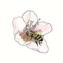 Nature. Artistic Drawing, Botanical Illustration, Creativit, Drawing, Traditional illustration, and Watercolor Painting project by Vanessa B - 04.20.2020