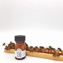 My project in Professional Photography for Instagram course Ein Projekt aus dem Bereich Werbefotografie von Sarah Ruta - 01.05.2020