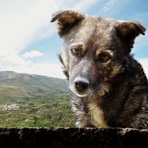 Mi Proyecto del curso: Fotomontaje surrealista con Photoshop  . Compoziție fotografică de Estephany Mendoza Matos - 05.03.2020