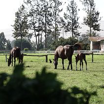 Mi Proyecto del curso: Guía práctica para aprender a manejar tu cámara digital desde cero . % Jan Balarezo tarafından hazırlanan Fotoğrafçılık projesi - 08.26.2020