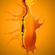 Do cases. Photograph, Studio Photograph, Product Photograph, and Digital Photograph project by Neus Gil Beltrán - 05.15.2018