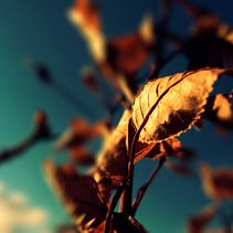 Mi Proyecto del curso: Google Ads y Facebook Ads desde cero. Un projet de Marketing digital de Adrián Josué Abarca Sequeira - 25.05.2020