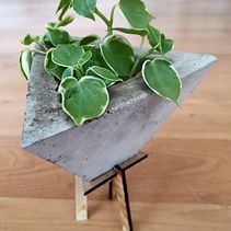 Diseño de Macetas en concreto Ein Projekt aus dem Bereich Innenarchitektur, H, werk, Kreativität und Dekoration von Innenräumen von Hector Orozco Sanchez - 04.06.2020