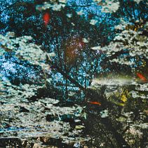 el cielo en la tierra. Un progetto di Fotografia di Beatriz Villalba - 11.06.2020