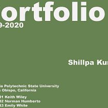 First Year Final Portfolio. Education project by shillpak28 - 06.17.2020