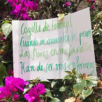 Mi Proyecto del curso: Caligrafía itálica con brush pen Ein Projekt aus dem Bereich  von Denise Núñez - 01.07.2020