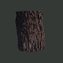 Mi Proyecto del curso: Introducción a la fotogrametría 3D. Een project van 3D y  3D-ontwerp van Borja - 21.08.2020