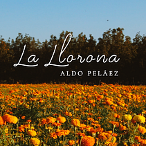 My course project: We made the video for La Llorona, a song by Aldo Peláez. Film, Video, and TV project by Abraham de Jesús Vargas Valencia - 11.04.2020