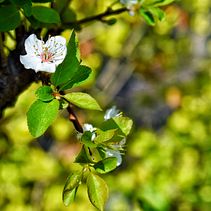 Mi Proyecto del curso: Mixturas . Fotografia projeto de Andrés Valero - 19.11.2020