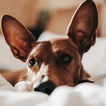 Neo&co. Een project van Fotografie van Leticia Pesquera Fernández - 29.11.2020