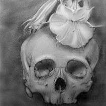 Portfolio Projects . % Carla Klosowski tarafından hazırlanan Güzel sanatlar, Portfö, Ve Geliştirme projesi - 01.25.2021