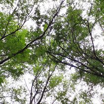 Sostener mi blog sobre cultura libre, edición independiente y financiamiento colectivo. Writing project by Barbi Couto - 02.03.2021