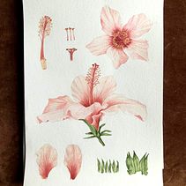 My project - Botanical Illustration with Watercolors . Un proyecto de Ilustración botánica y Pintura a la acuarela de Migas Ribeiro Cary - 08.02.2021