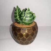 Macetas . % June Medina Solís tarafından hazırlanan Dekoras, Ve on projesi - 02.17.2021