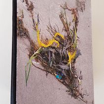 Stranded: My project in Bookbinding . Un projet de Création d'accessoires de Bridget Macklin - 19.03.2021