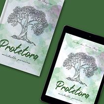 Capas - Contos das Terras Mágicas Ein Projekt aus dem Bereich Verlagsdesign von Michelle Pereira - 30.12.2019