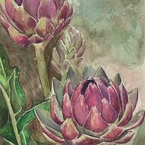 ALCACHOFRAS. Een project van Traditionele illustratie, Schilderij,  Tekening,  Creativiteit, Aquarelschilderen y  Botanische illustratie van Mafalda Cruz - 30.03.2021