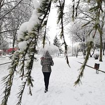 Let It snow. Photograph, Fine-Art Photograph, Mobile Photograph, and Outdoor Photograph project by Marta García González - 01.09.2021