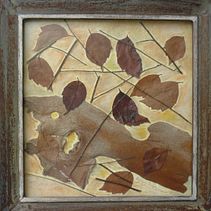 Landscapes & botanica. Projekt z dziedziny  Kolaż użytkownika Irene Petrocheilou - 10.04.2021