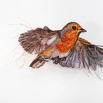 Project 11. Projekt z dziedziny  Haft użytkownika Alison Carpenter-Hughes - 15.04.2021