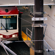 My project in Color Theory in Photography course. Photograph, Photo Retouching, Digital Photograph, Photographic Composition, and Color Theor project by Carson Schmidt - 05.12.2021