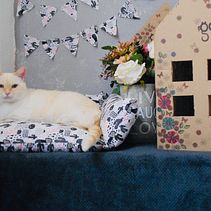 Gatocho en las nubes. Een project van Fotografie, Social media, Mobiele fotografie, Productfotografie, Instagram, Fotografie voor Instagram,  Art direction, Artistieke fotografie y Mobiele marketing van Aída Magaña - 10.06.2021