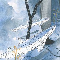 Weird Fishes. Un progetto di Illustrazione tradizionale, Illustrazione infantile, Design editoriale e Illustrazione editoriale di La Noga - 16.06.2021