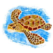 Viva a vida marinha!. Un proyecto de Ilustración tradicional, Dibujo, Pintura a la acuarela e Ilustración naturalista				 de Marcela Corrêa Müller - 12.07.2021