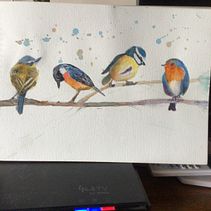 My project in Artistic Watercolor Techniques for Illustrating Birds course. Un proyecto de Ilustración tradicional, Pintura a la acuarela, Dibujo realista e Ilustración naturalista				 de Laurel Janson - 26.07.2021