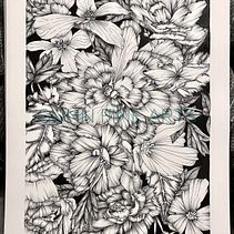 Peonies  Ein Projekt aus dem Bereich Traditionelle Illustration von CM Gunn - 19.08.2021