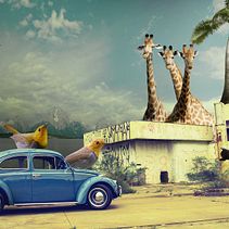 Meu projeto do curso: Colagem digital no Photoshop: composição e efeitos visuais. Un projet de Photographie, Collage, Retouche photographique, Photographie artistique, Composition photographique , et Photomontage de Tamires Nogueira - 25.09.2021