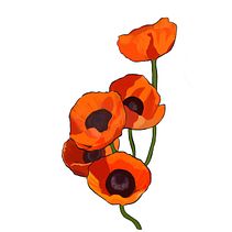 Il mio progetto del corso: Creazione di pattern botanici a partire da un disegno. Ilustração botânica, Desenho digital e Ilustração digital projeto de _cristina90_ - 25.10.2021