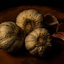 Ajos. Fotografia projeto de Espina Supina - 30.10.2021