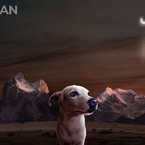 Meu projeto do curso: Segredos da fotomontagem e do retoque criativo. Un progetto di Fotografia, Postproduzione fotografica, VFX, Ritocco fotografico, Fotografia artistica, Composizione fotografica e Fotomontaggio di Fabio Gomes - 15.11.2021