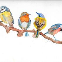 My Four Birds. Ilustração tradicional, Pintura em aquarela, Desenho realista e Ilustração naturalista projeto de Brian Yost - 20.12.2021