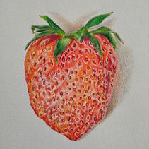 Strawberry Ein Projekt aus dem Bereich Traditionelle Illustration, Bleistiftzeichnung, Zeichnung, Naturalistische Illustration und Zeichnen mit Buntstiften von Laura van der Pluijm - 08.08.2021