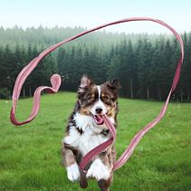 Long Tongue Dog : Mi Proyecto del curso, Fotomontaje e ilustraciones fantásticas en Photoshop. . Photograph, Collage, Photo Retouching, Digital Illustration, Photographic Composition, and Photomontage project by Elodie Spagnol Nouveliere - 01.06.2022